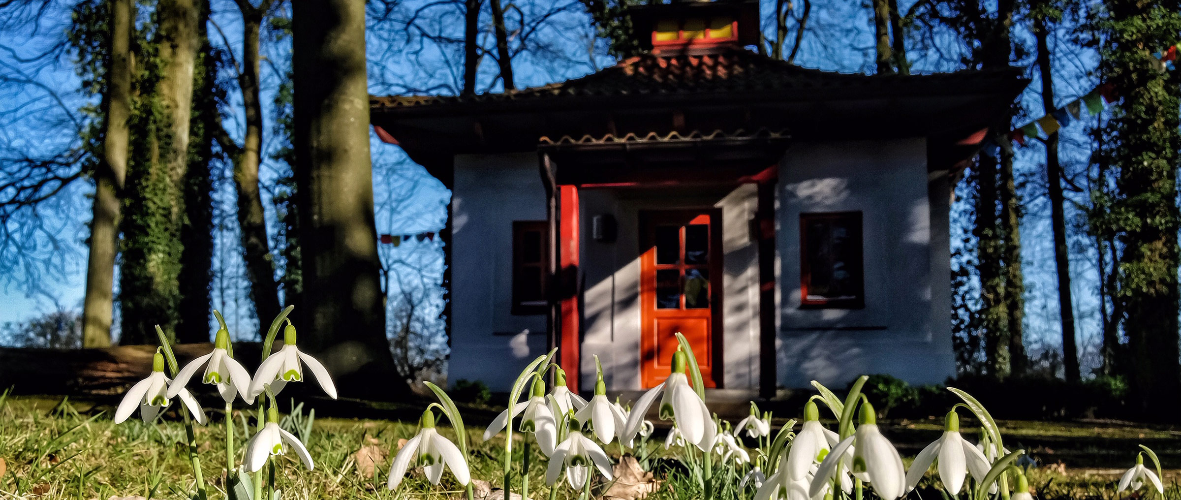 fruehling, maigloeckchen, schrein