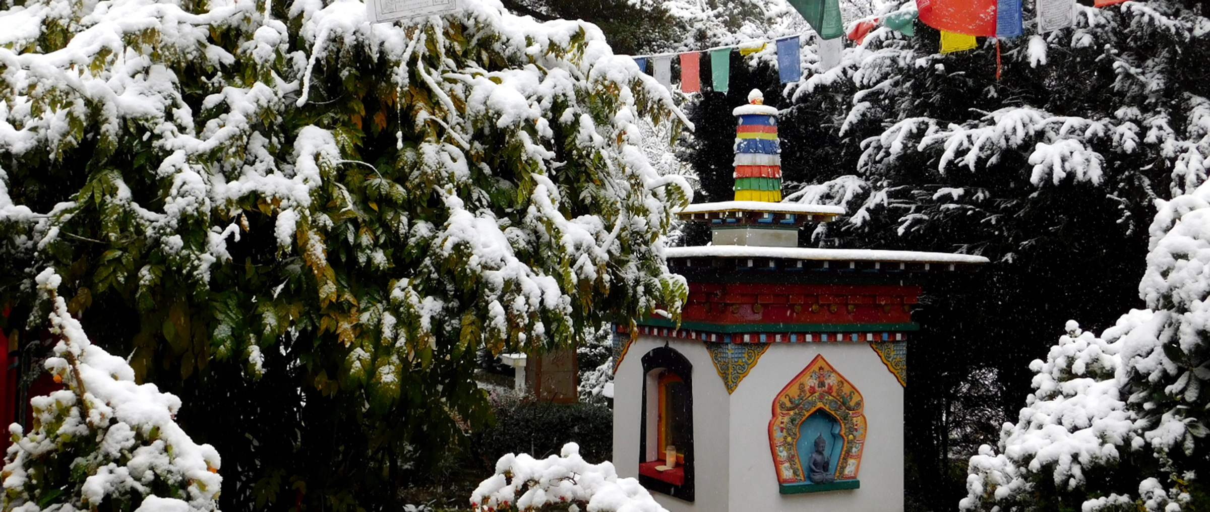 buddhistisches zentrum garten schnee